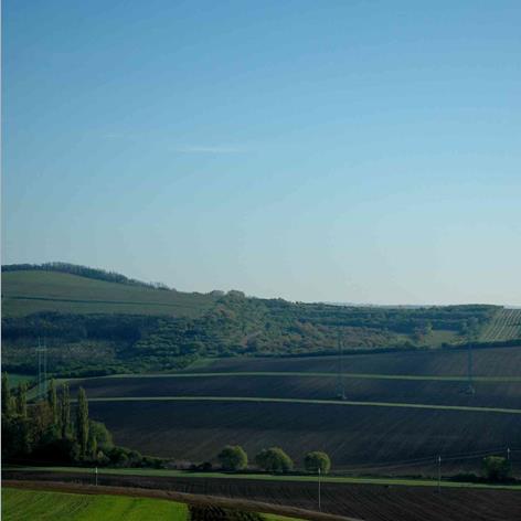 Infiltracijski pojasevi (trava) i tampon zone (trajna vegetacija) main image
