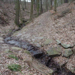 Appropriate design of unsealed roads and stream crossing in forests-image