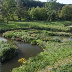 Increasing the retention capacity of existing channels and floodplains by restoration-image