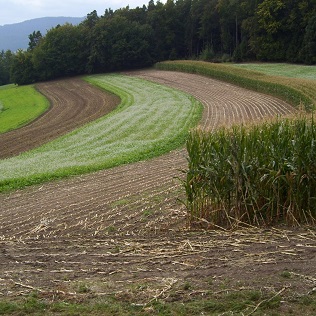 Field subdivision, strip cropping-image