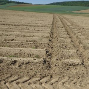 Cultivation across the slope; avoidance of downhill furrows and lanes-image