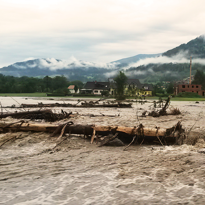 Revitalizacija poplavnih područja i šuma na poplavnim područjima, priroda sukcesija main image