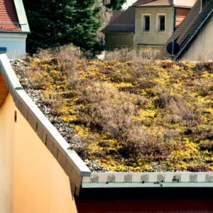 Zelené střechy-image