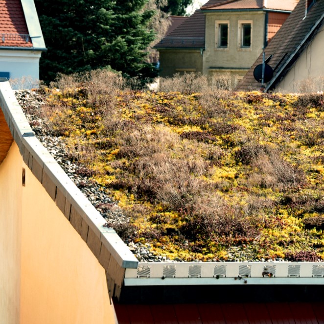 Green roofs Image